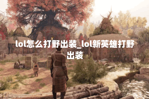 lol怎么打野出装_lol新英雄打野出装
