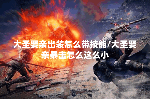 大圣娶亲出装怎么带技能/大圣娶亲暴击怎么这么小