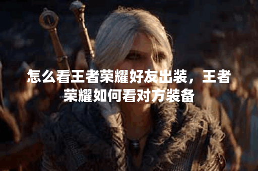 怎么看王者荣耀好友出装，王者荣耀如何看对方装备