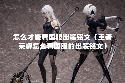 怎么才能看国服出装铭文（王者荣耀怎么看国服的出装铭文）