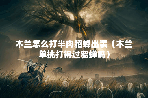 木兰怎么打半肉貂蝉出装（木兰单挑打得过貂蝉吗）