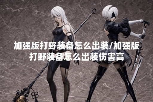 加强版打野装备怎么出装/加强版打野装备怎么出装伤害高