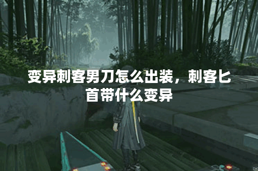 变异刺客男刀怎么出装，刺客匕首带什么变异