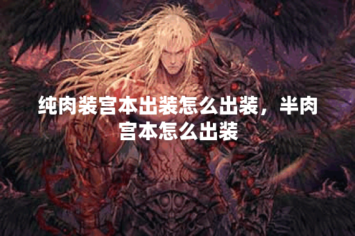 纯肉装宫本出装怎么出装，半肉宫本怎么出装