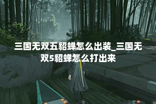 三国无双五貂蝉怎么出装_三国无双5貂蝉怎么打出来