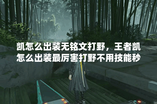 凯怎么出装无铭文打野，王者凯怎么出装最厉害打野不用技能秒