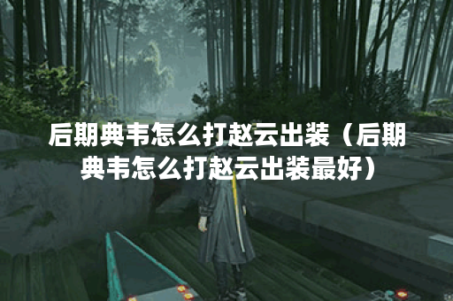 后期典韦怎么打赵云出装(后期典韦怎么打赵云出装最好) 后期典韦怎么打赵云出装(后期典韦怎么打赵云出装最好)