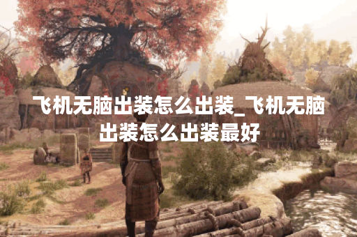 飞机无脑出装怎么出装_飞机无脑出装怎么出装最好