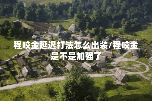 程咬金延迟打法怎么出装/程咬金是不是加强了