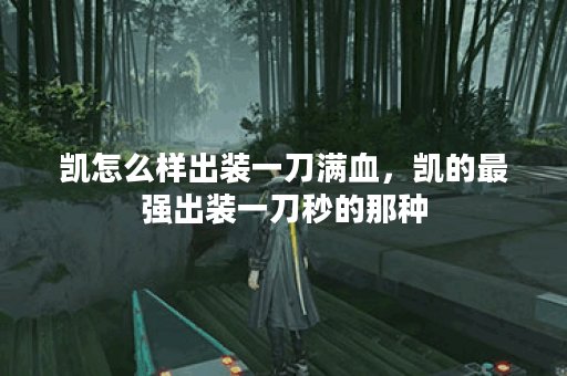 凯怎么样出装一刀满血，凯的最强出装一刀秒的那种