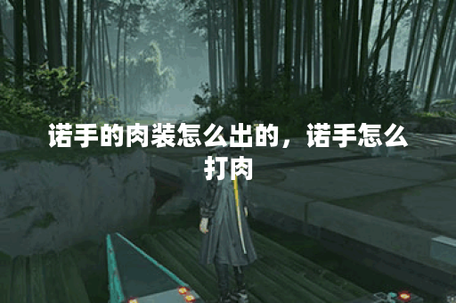 诺手的肉装怎么出的，诺手怎么打肉
