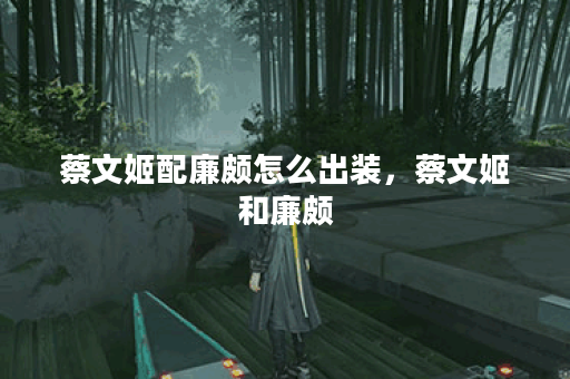 蔡文姬配廉颇怎么出装,蔡文姬和廉颇 蔡文姬配廉颇怎么出装,蔡文姬和廉颇