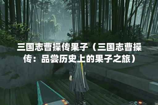 三国志曹操传果子（三国志曹操传：品尝历史上的果子之旅）