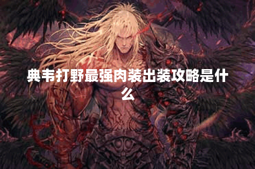 典韦打野最强肉装出装攻略是什么？如何选择最佳装备提升战斗力？