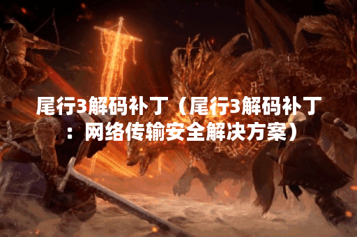 尾行3解码补丁（尾行3解码补丁：网络传输安全解决方案）