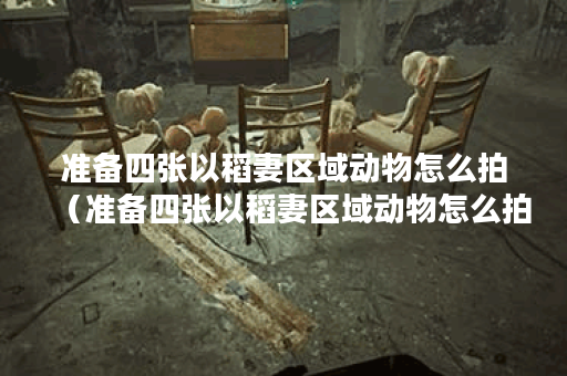 准备四张以稻妻区域动物怎么拍（准备四张以稻妻区域动物怎么拍）