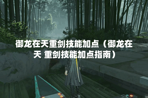 御龙在天重剑技能加点（御龙在天 重剑技能加点指南）