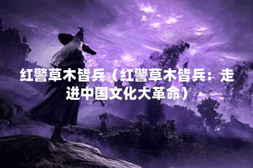 红警草木皆兵（红警草木皆兵：走进中国文化大革命）