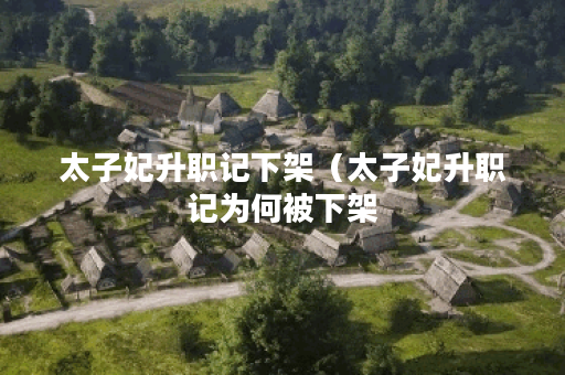 太子妃升职记下架（太子妃升职记为何被下架？揭秘真相！）