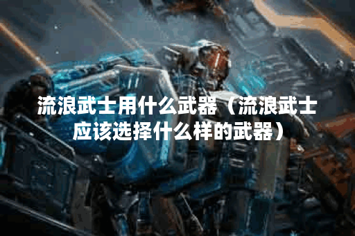 流浪武士用什么武器（流浪武士应该选择什么样的武器）