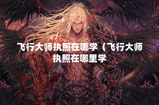 飞行大师执照在哪学（飞行大师执照在哪里学？了解一下这些培训机构