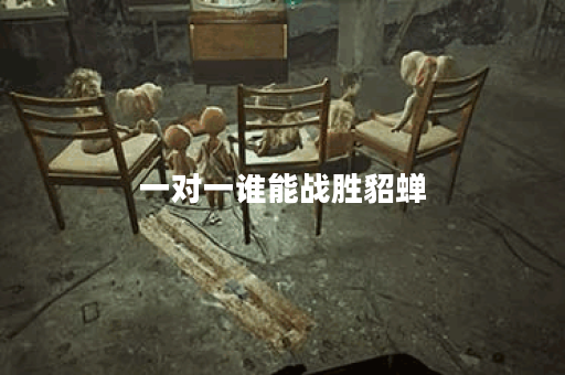 一对一谁能战胜貂蝉?有哪些英雄具备实力? 一对一谁能战胜貂蝉?有哪些英雄具备实力?