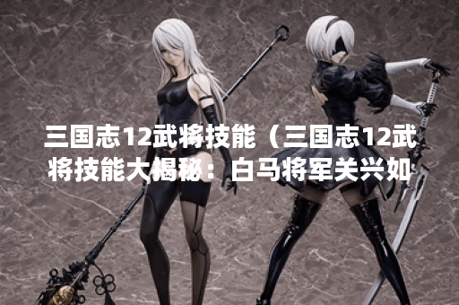 三国志12武将技能（三国志12武将技能大揭秘：白马将军关兴如何开局跑