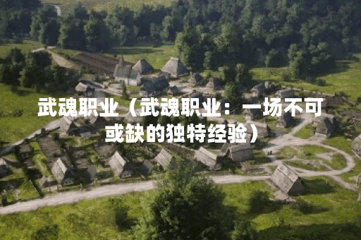 武魂职业(武魂职业:一场不可或缺的独特经验) 武魂职业(武魂职业:一场不可或缺的独特经验)