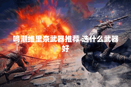 鸣潮维里奈武器推荐 选什么武器好 鸣潮维里奈武器推荐 选什么武器好