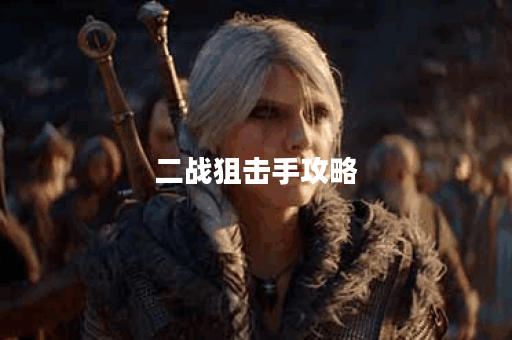 二战狙击手攻略 二战狙击手攻略