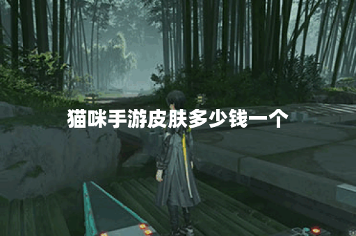 猫咪手游皮肤多少钱一个