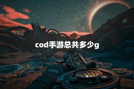 cod手游总共多少g