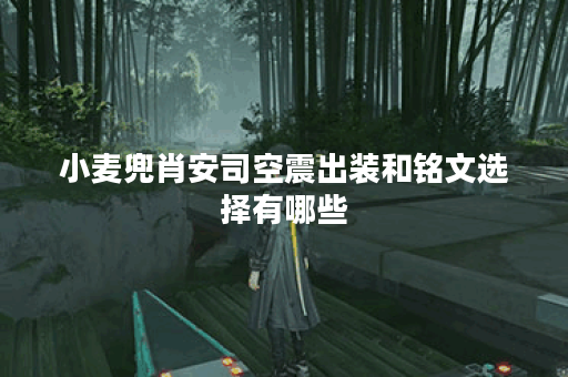 小麦兜肖安司空震出装和铭文选择有哪些？如何搭配才能提升战斗力？