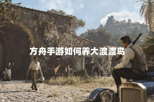方舟手游如何养大渡渡鸟