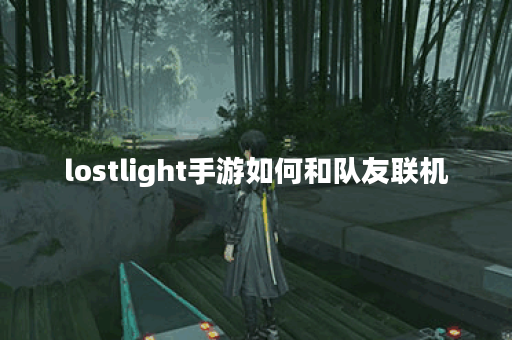 lostlight手游如何和队友联机