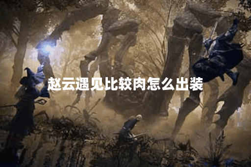 赵云遇见比较肉怎么出装