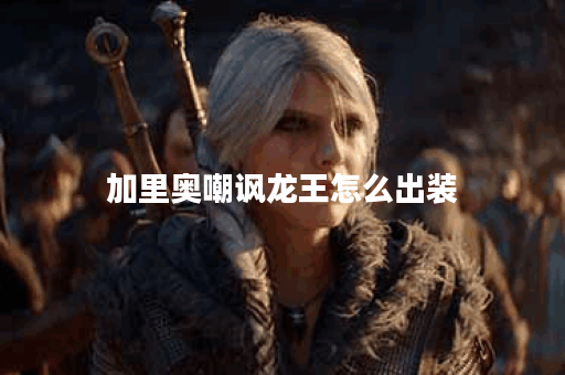 加里奥嘲讽龙王怎么出装