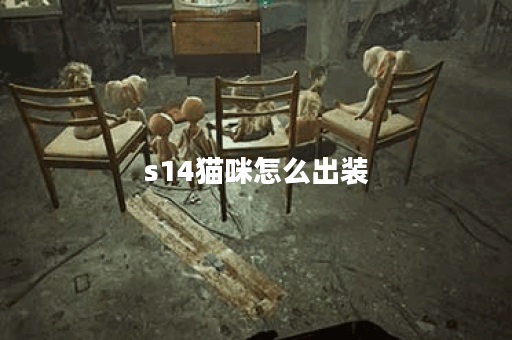 s14猫咪怎么出装