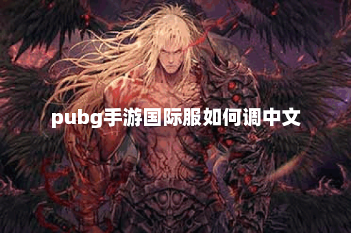 pubg手游国际服如何调中文