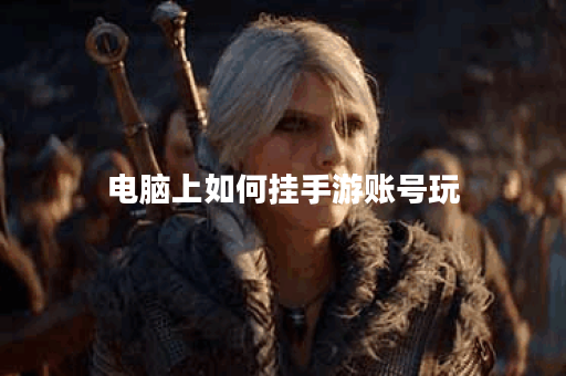 电脑上如何挂手游账号玩