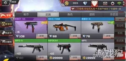 女枪圆弧出装有哪些推荐？如何选择最佳装备？