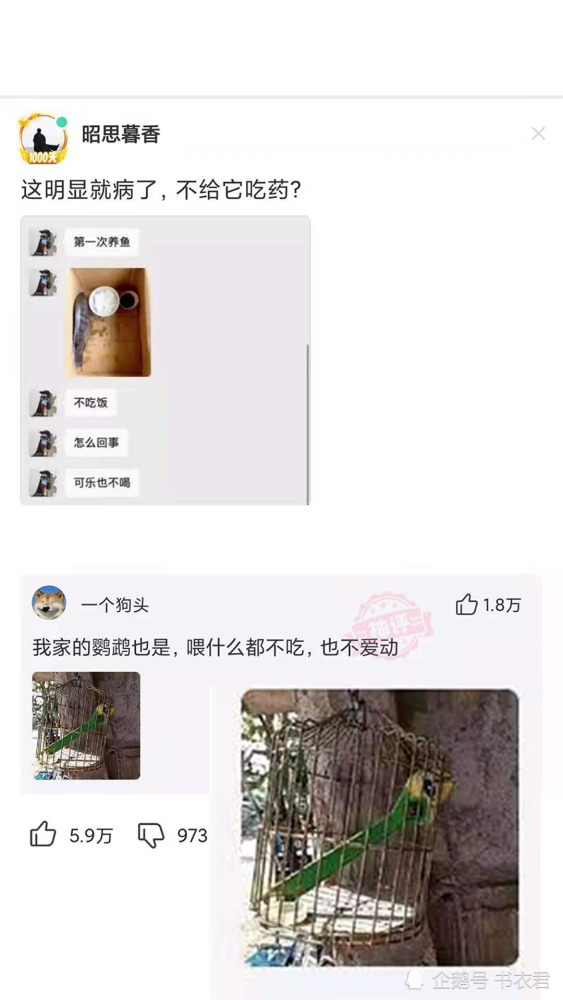 s35赛季吕布出装推荐与玩法解析是什么？