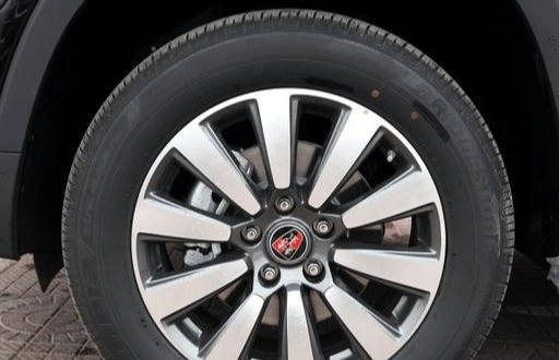 S12老鼠真的厉害吗?它的实力如何? S12老鼠真的厉害吗?它的实力如何?