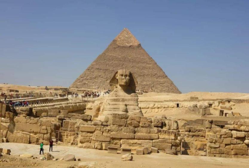 不朽亡灵法师最强搭配是什么？如何提升战斗力？