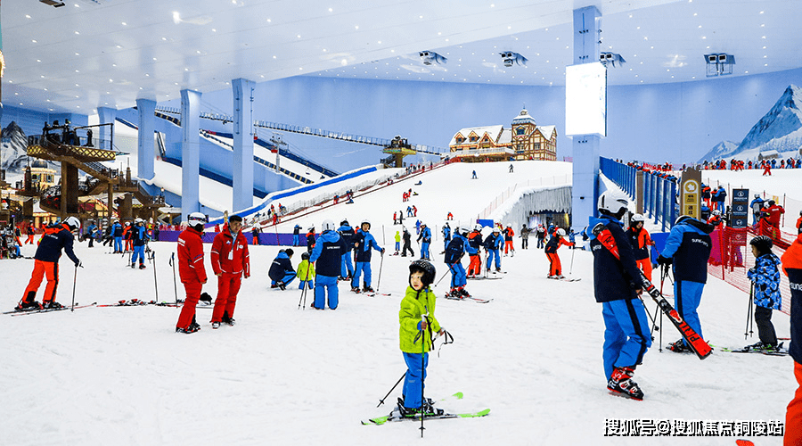 S10鳄鱼最佳出装推荐与玩法解析是什么？