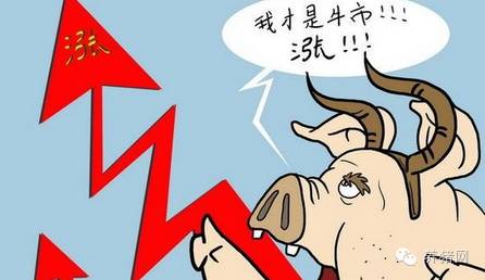 半肉扁鹊的恶心程度如何？它的特点是什么？