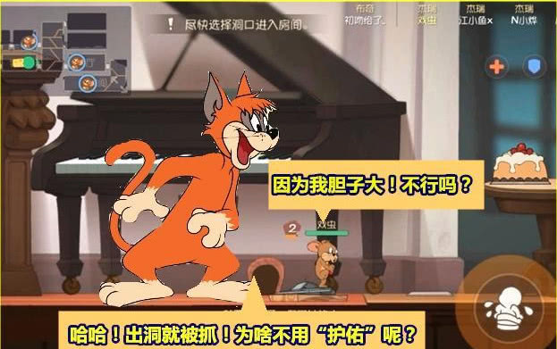 老鼠与猫的最佳出装搭配是什么？如何选择合适的装备？