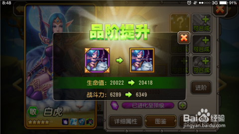 Dota月之女祭司最佳出装是什么？如何选择合适的装备？