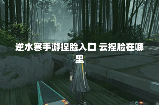 逆水寒手游捏脸入口 云捏脸在哪里