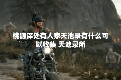 桃源深处有人家天池录有什么可以收集 天池录所